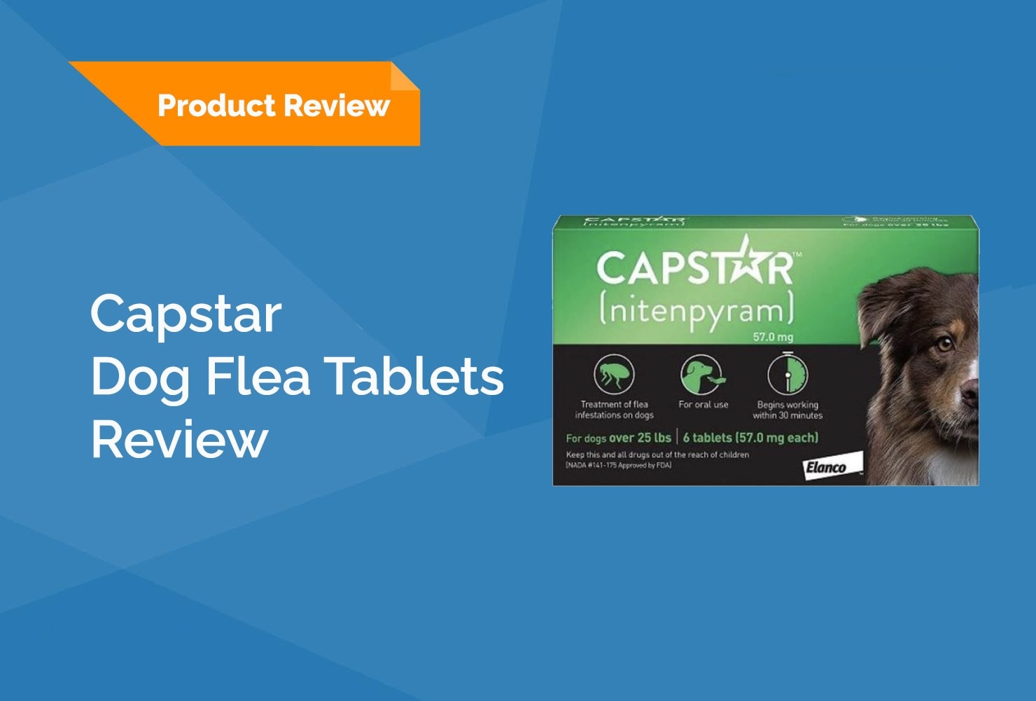 capstar flea tablets review vet answer