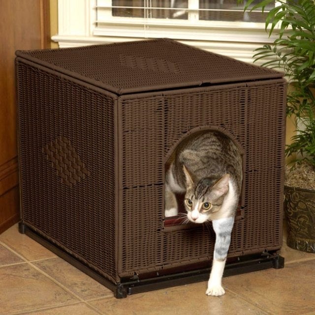 cat funiture - lotter box enclosure
