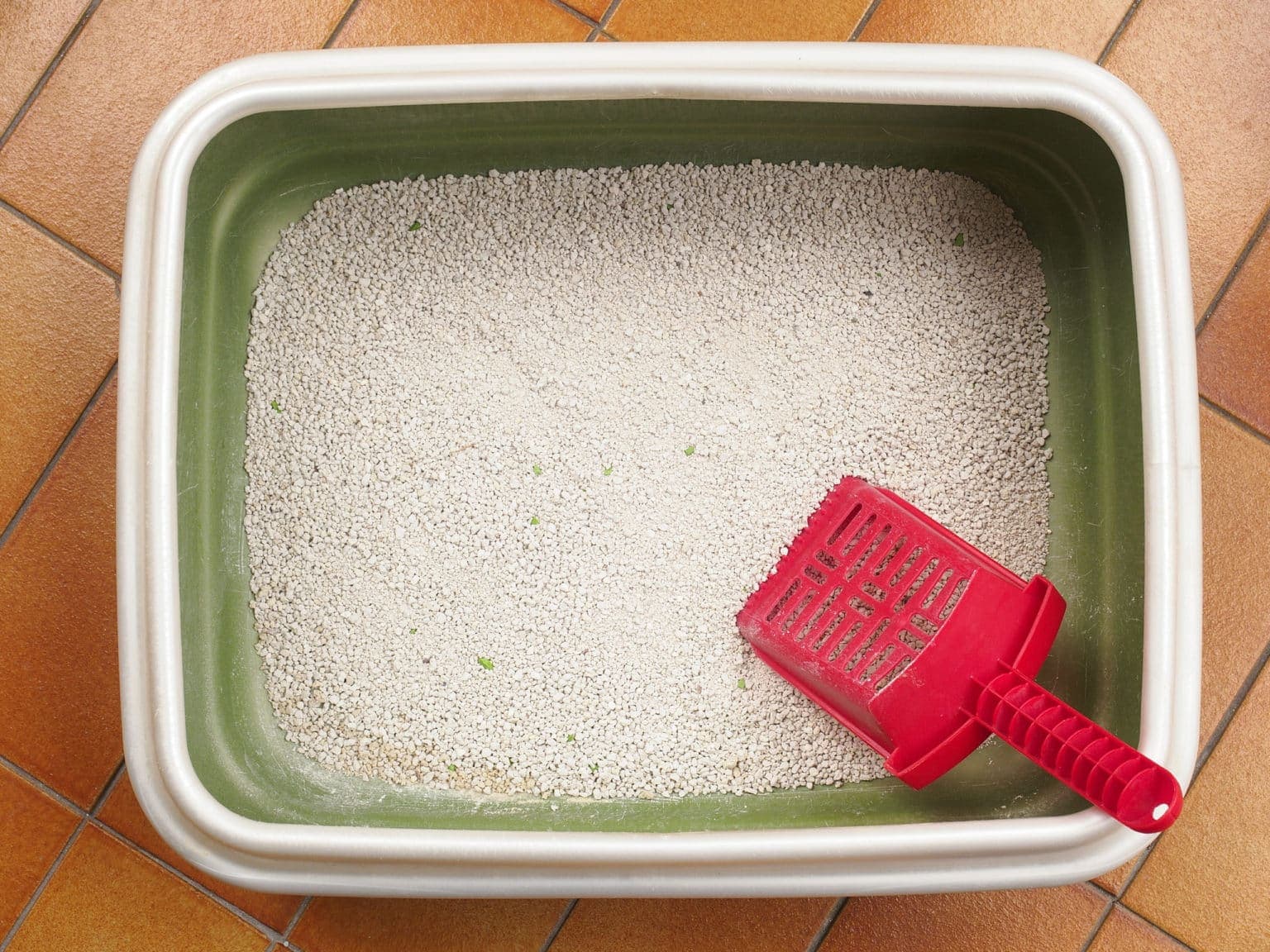 How To Clean A Litter Box In An Apartment 4 Magic Hacks Hepper