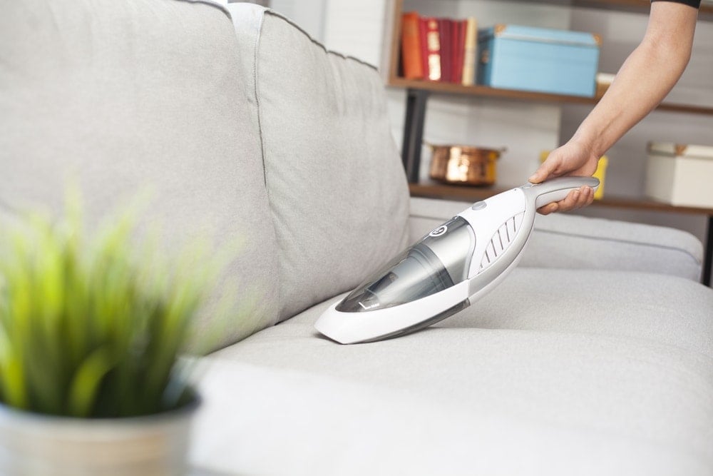 10 Best Hand Vacuums for Pet Hair 2024 Reviews Top Picks Hepper
