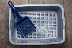 10 Best Sifting Litter Boxes For Pine Pellets 2021 - Catthink