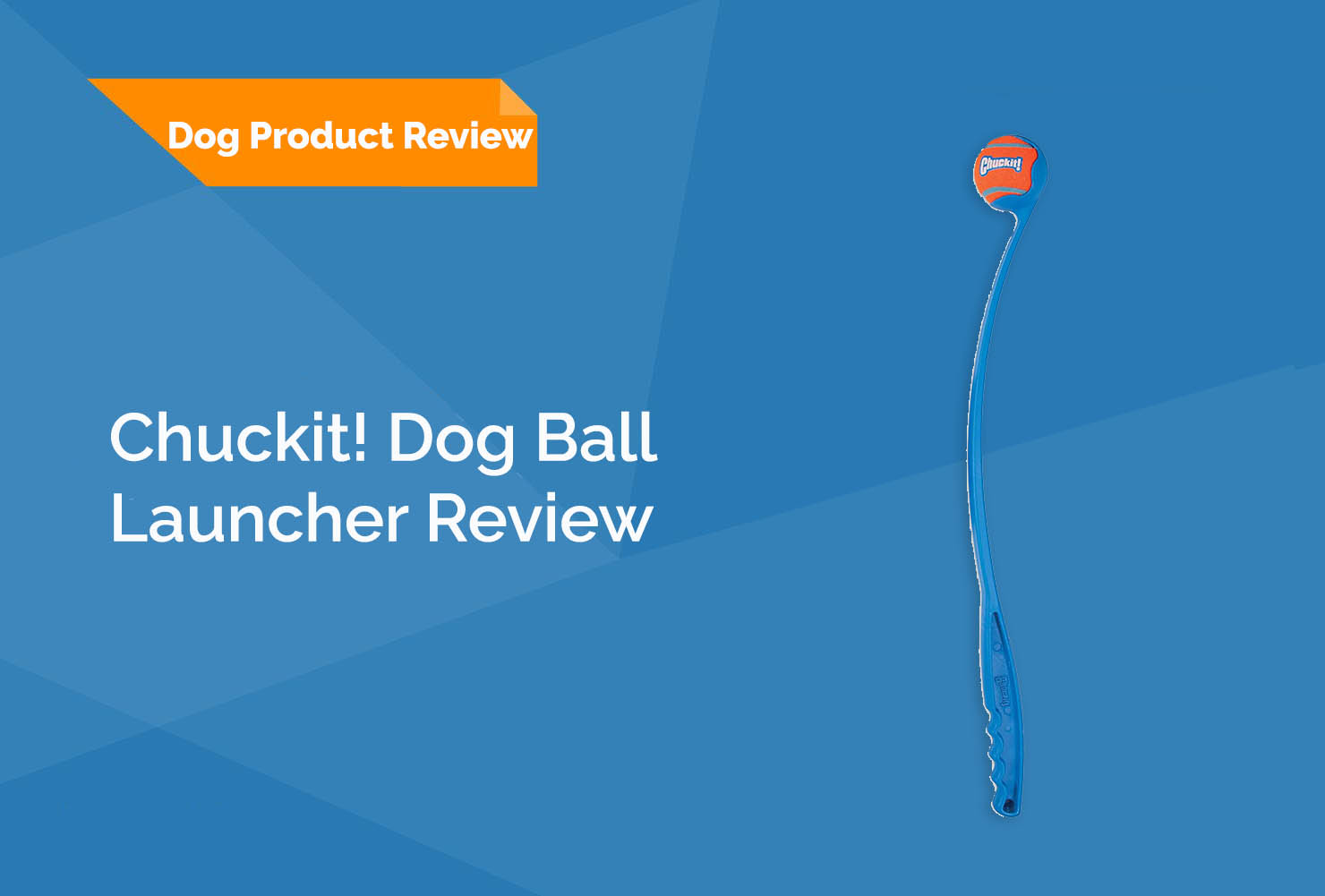 Chuckit! Dog Ball Launcher Review