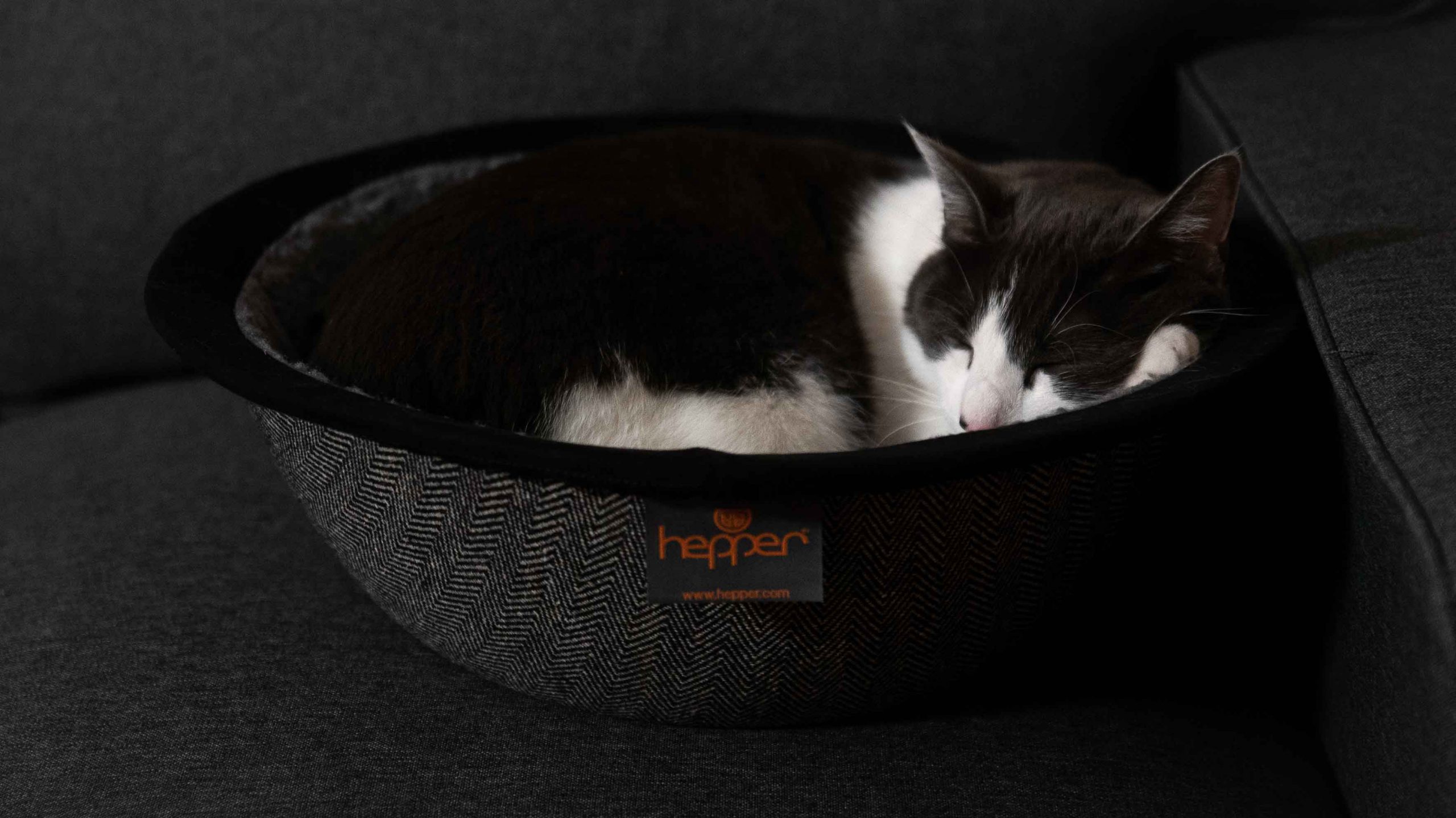 hepper cat bed