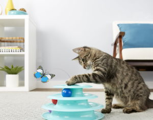 Frisco Butterfly Cat Toy_Chewy