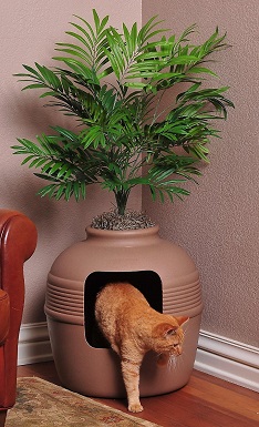 cool cat litter box