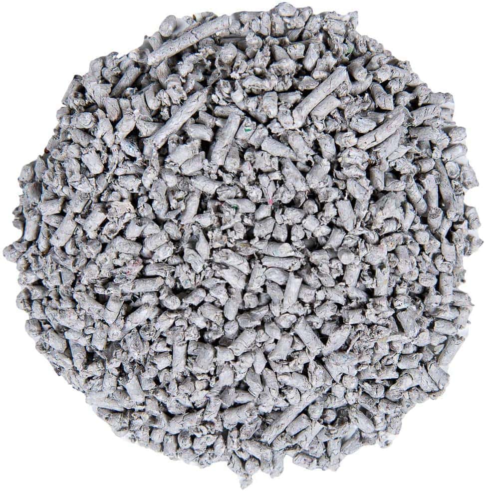 5 Best Paper Pellet Cat Litters of 2022 - Reviews & Top Picks Hepper