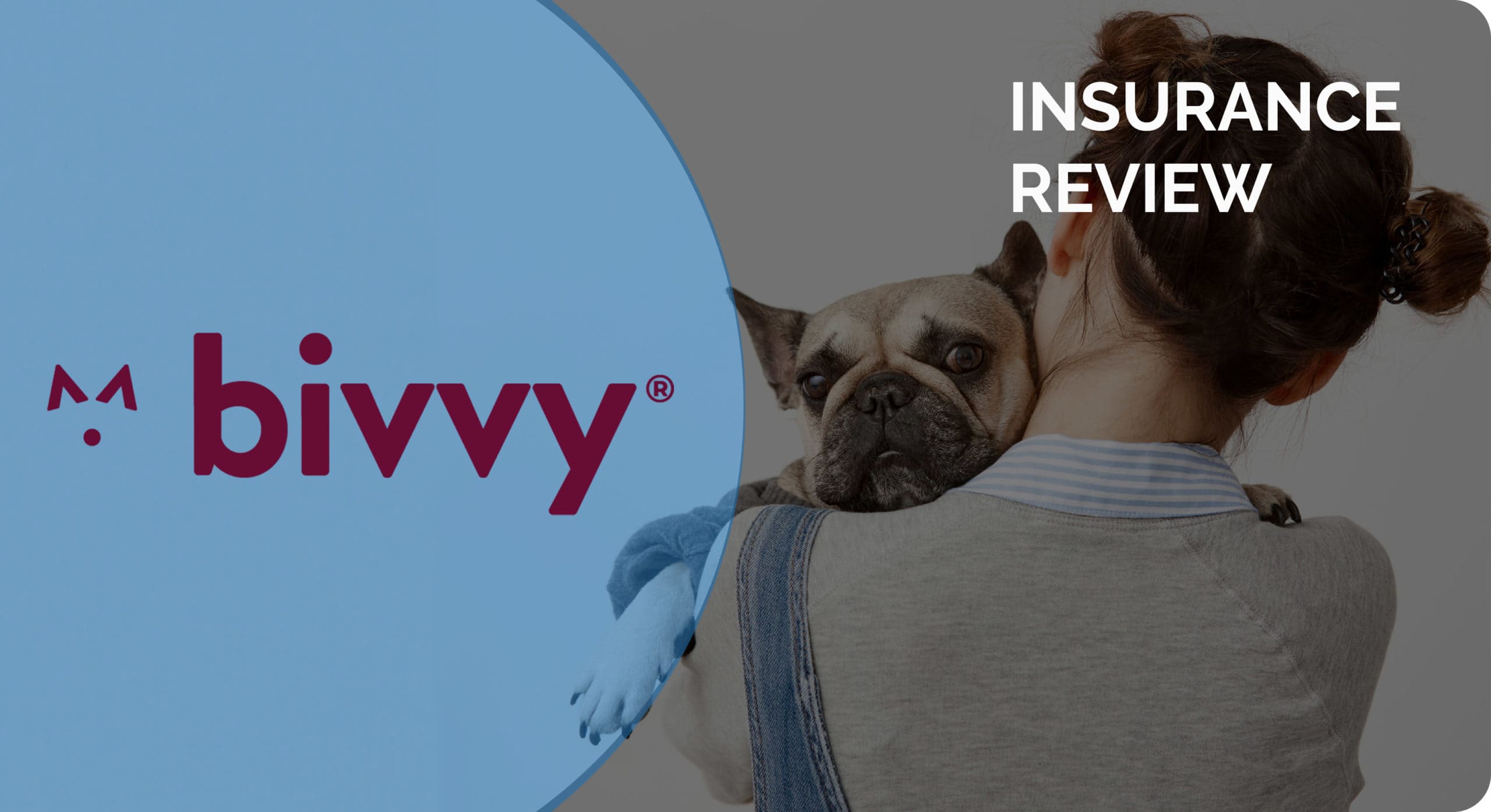 bivvy insurance review