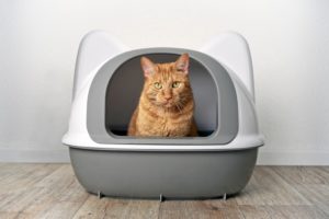 MoMaek Open top Cat Litter Box is Designed to Offer Cats Plenty of Room and Quick Accessibility. 