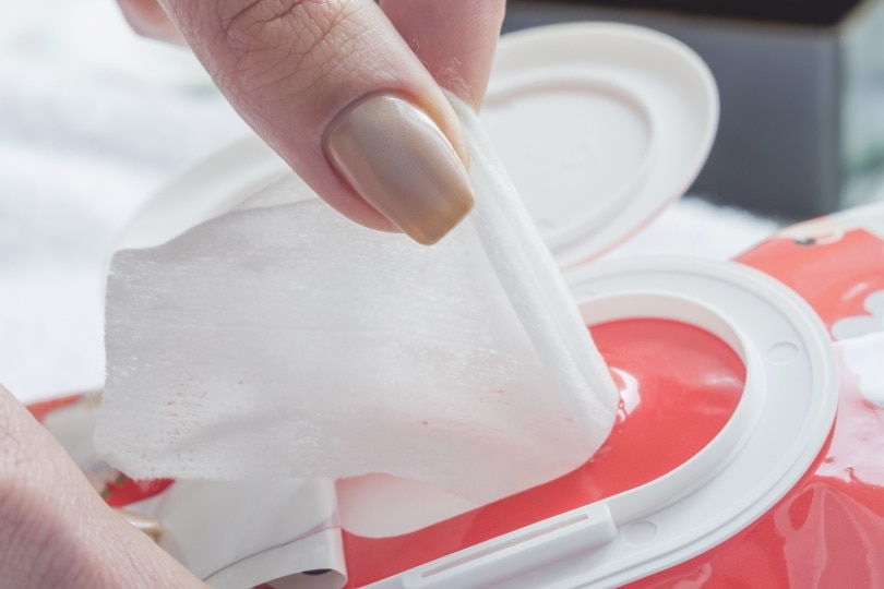 disposable wipes_Yevhen Prozhyrko_Shutterstock