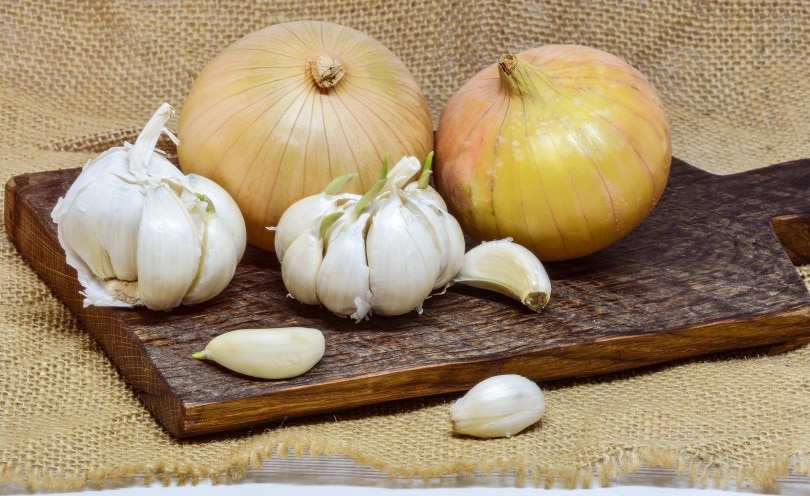 onion and garlic_monicore_Pixabay