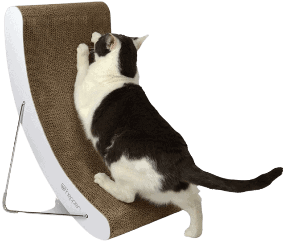 hepper cat bed