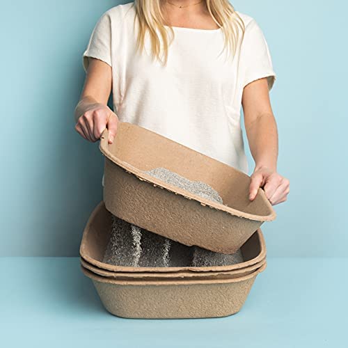 pine litter sifting box