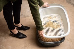 jumbo sifting litter box