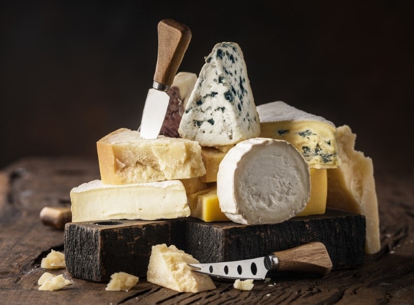 Assortment of different cheese types