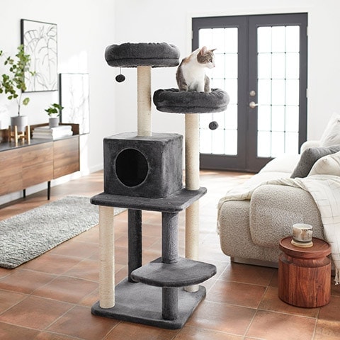 best cat tree for multiple cats