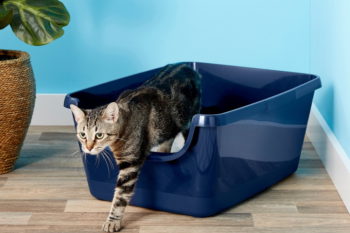 Frisco High Sided Cat Litter Box