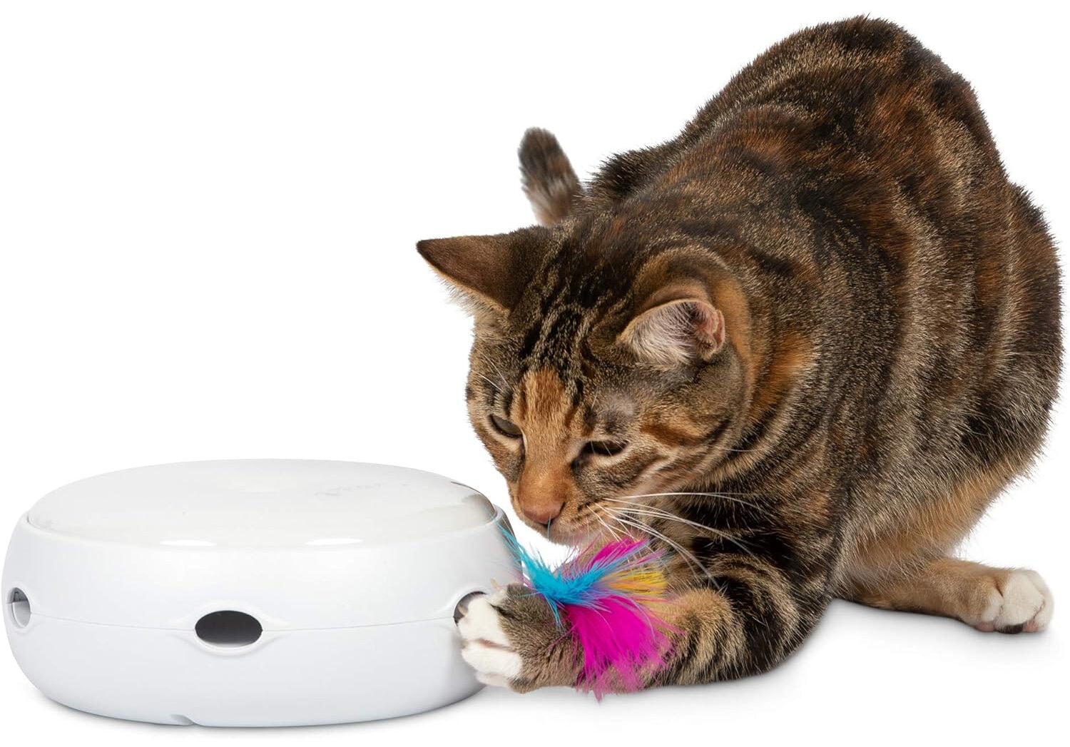 PetFusion Ambush Interactive Electronic Cat Toy
