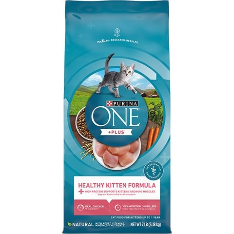 best kitten food reviews