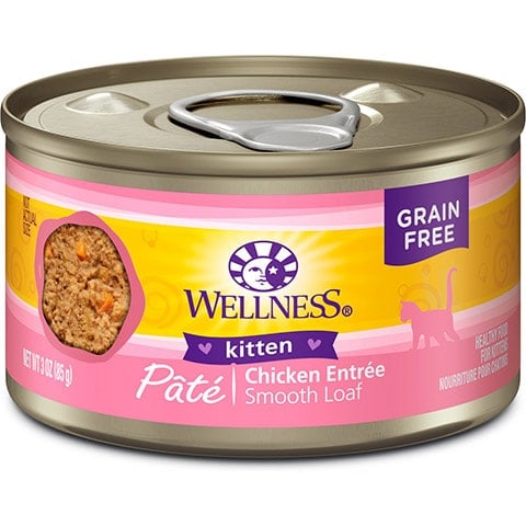 best kitten biscuits