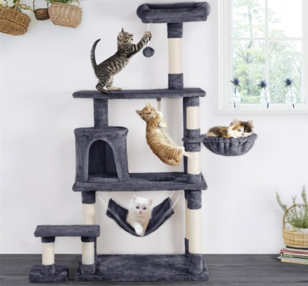 best cat tree deals