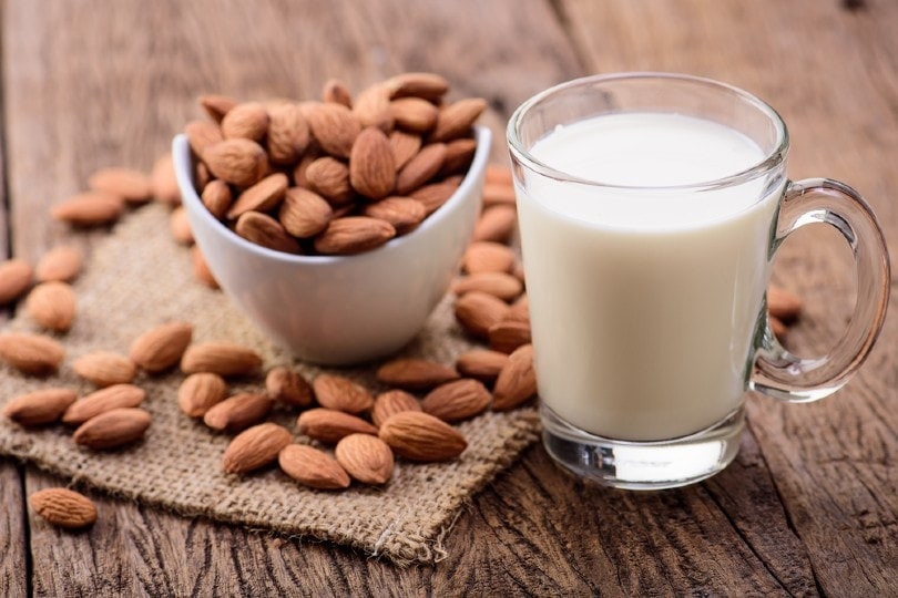 almond milk in a glass near a bowl of almond nuts
