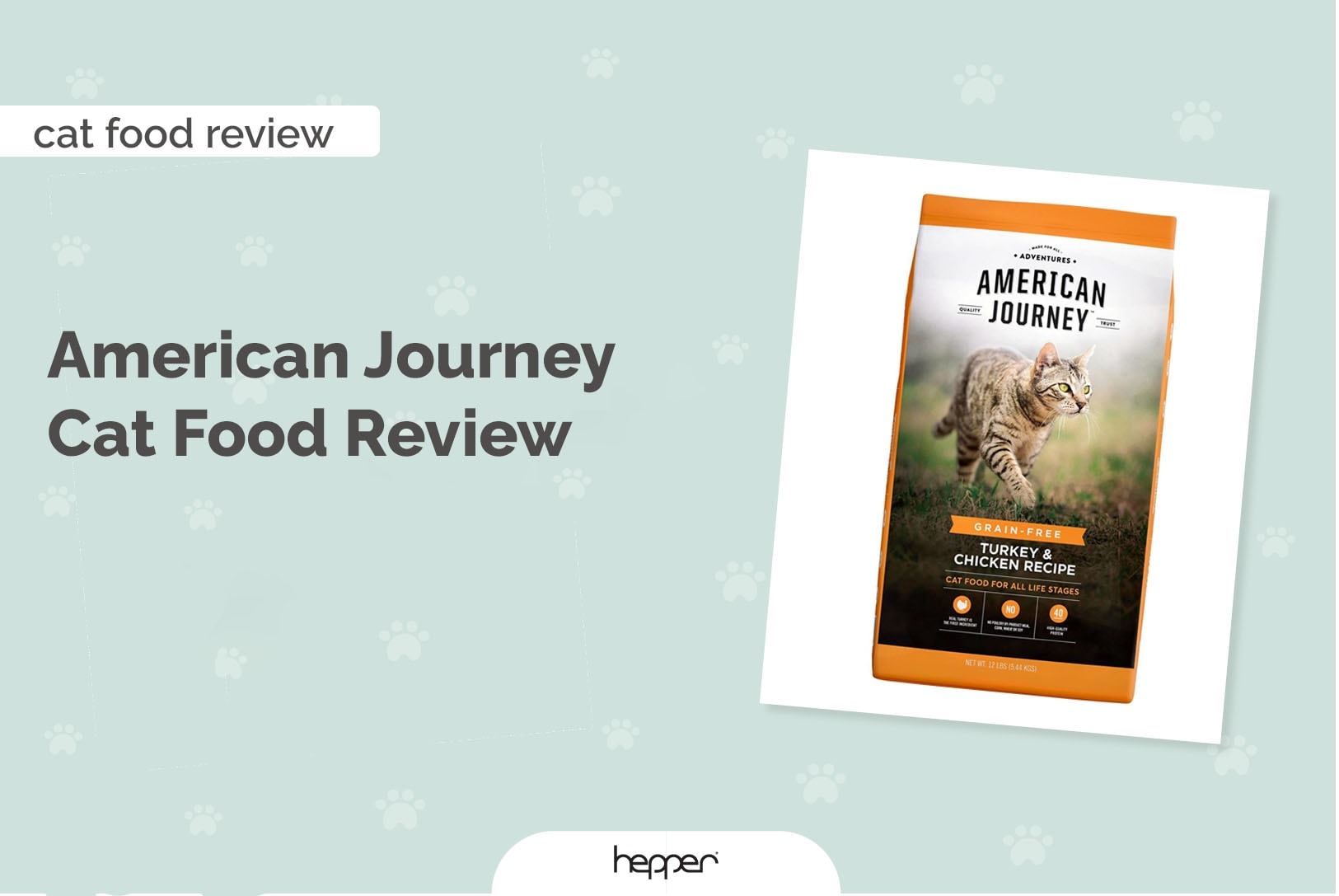 American Journey Cat Food Review 2022 - Hepper