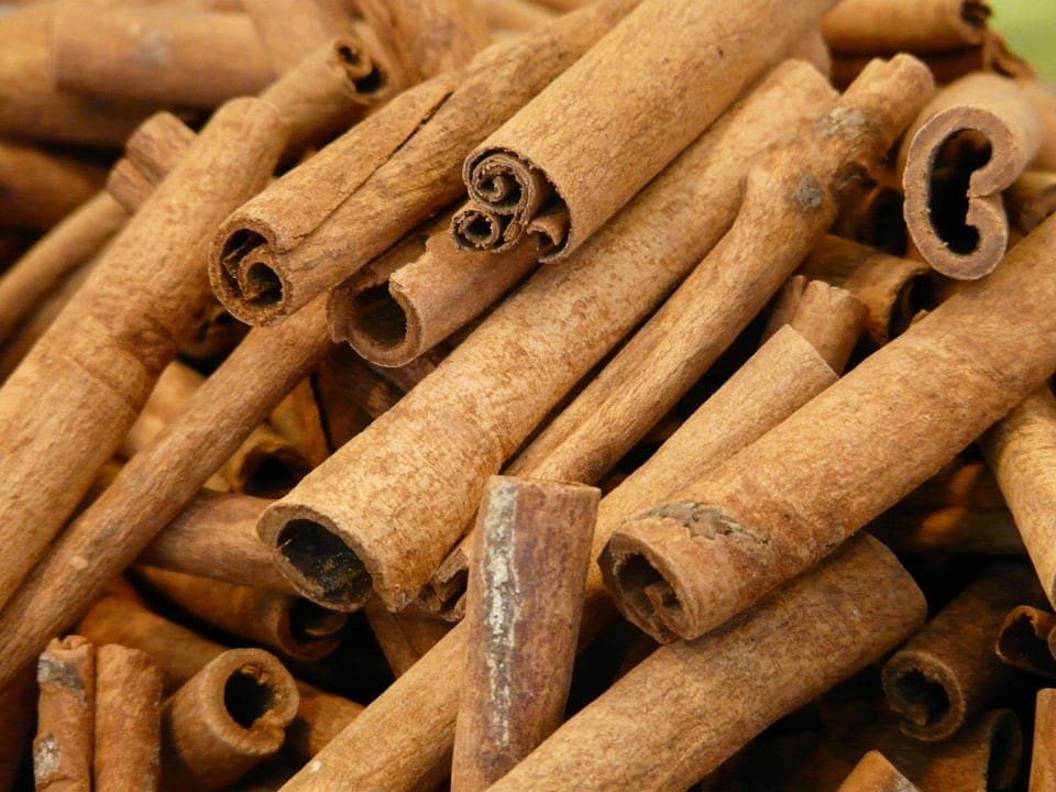 close up cinnamon sticks