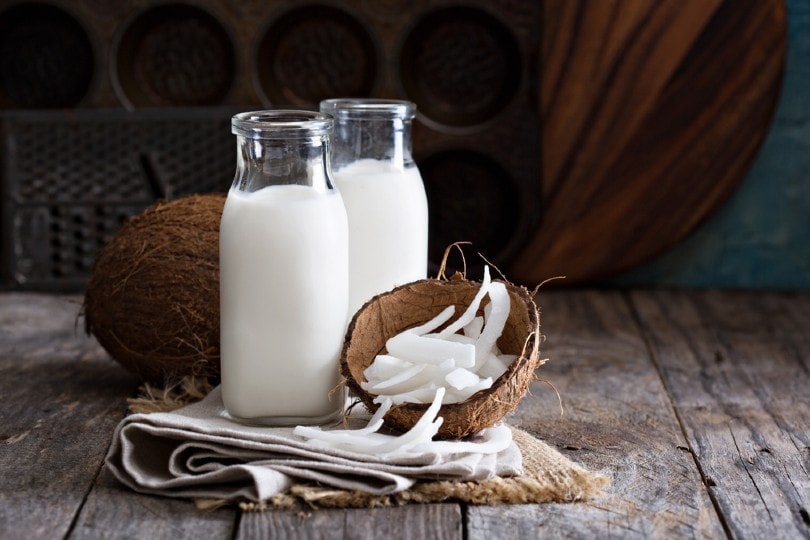 Is coconut milk on sale good for cats