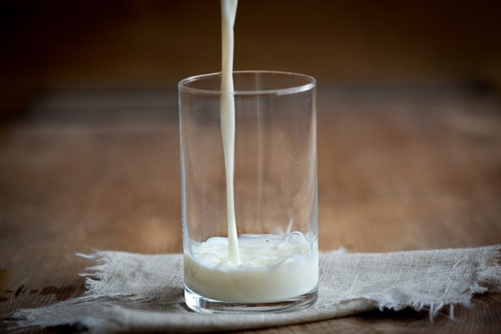 Can Cats Drink Lactose Free Milk? Vet Reviewed Info to Know Hepper Can Cats Drink Lactose Free Milk? Vet Reviewed Info to Know Hepper