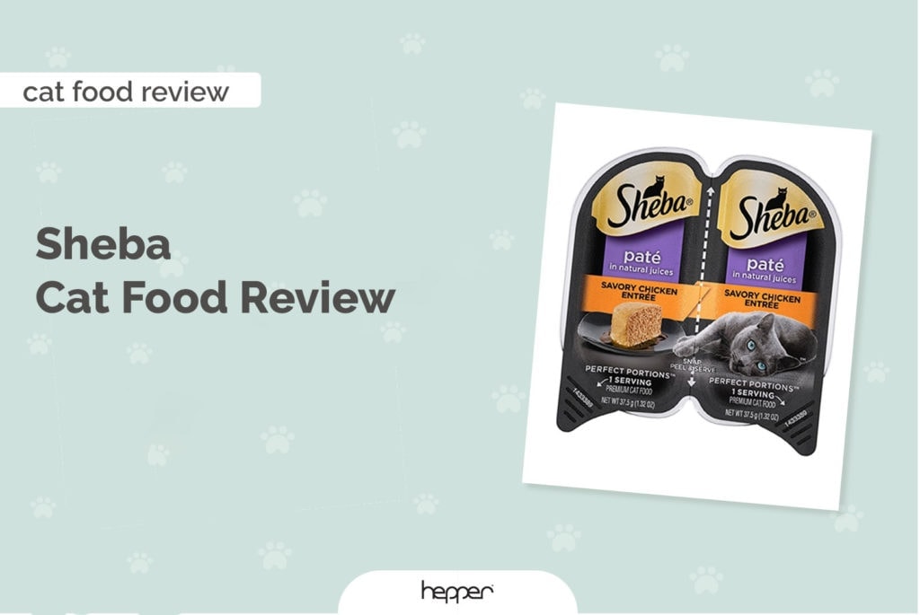 sheba cat food review header