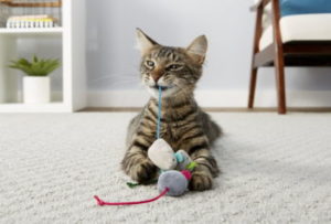 frisco sushi plush cat toy with catnip