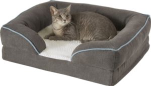 Frisco-orthopedic-cat-sofa-bed_Chewy