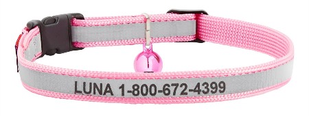 best quick release cat collar