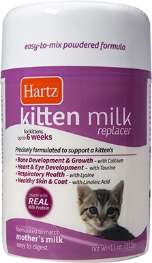 best kitten formula