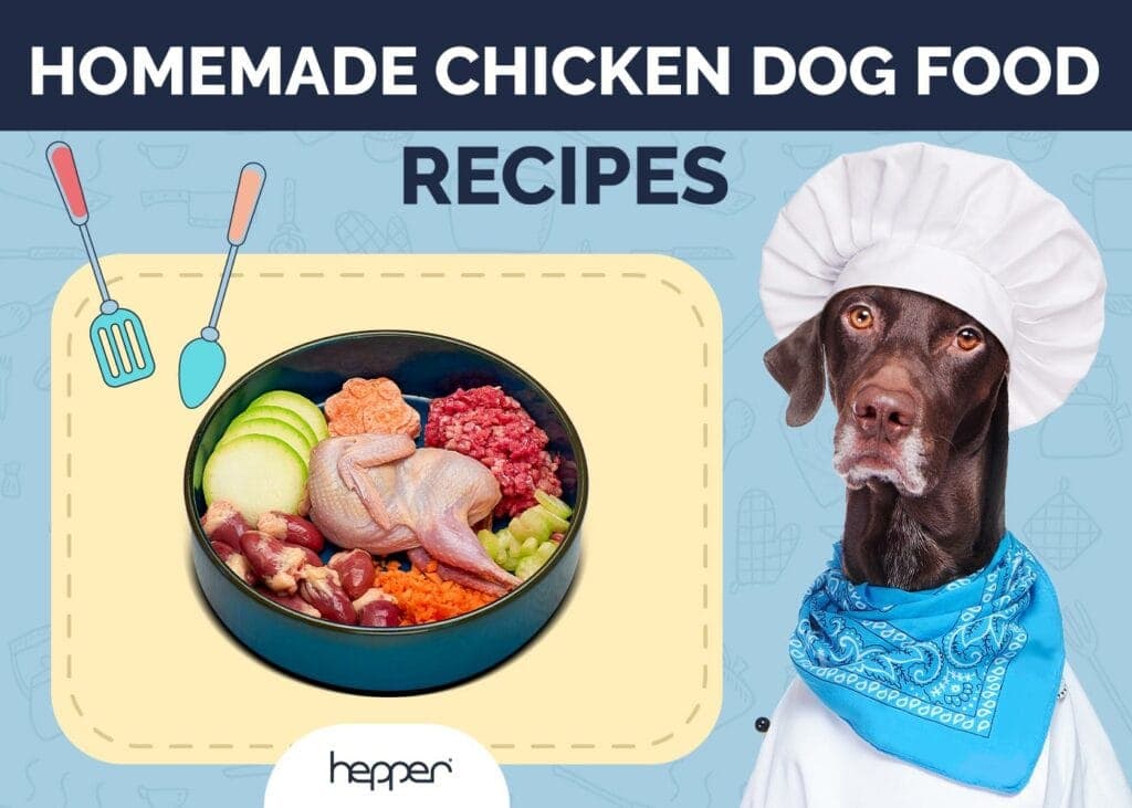 Chicken Dog Food Recipes