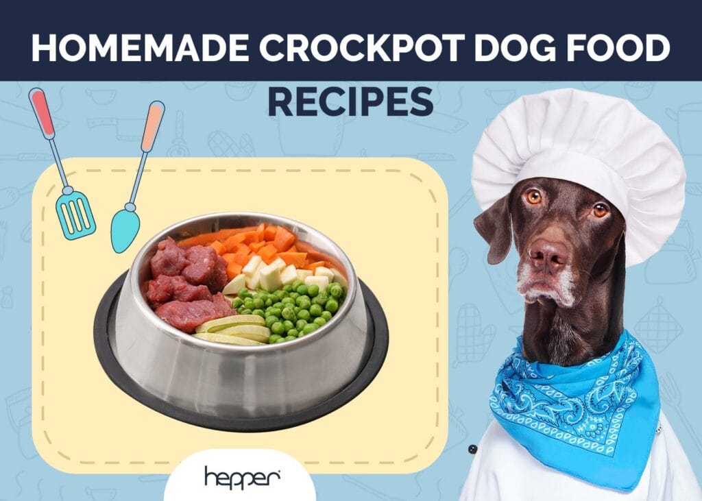 Crockpot Dog Food Recipes