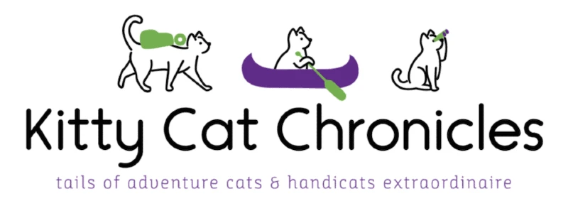 Kitty Cat Chronicles Blog Logo