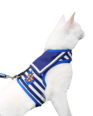 most secure cat harness