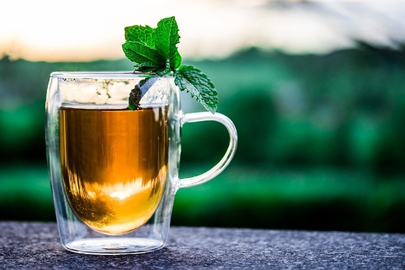 a cup of tea outdoors