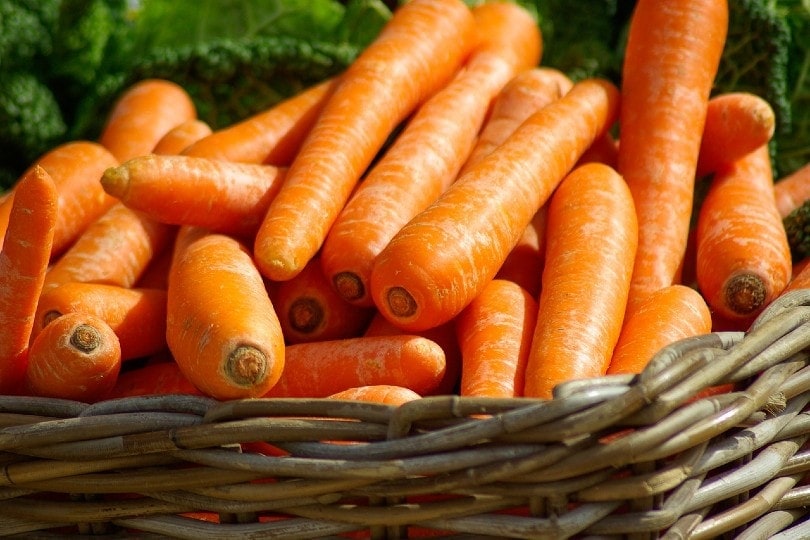 cà rốt trong giỏ
