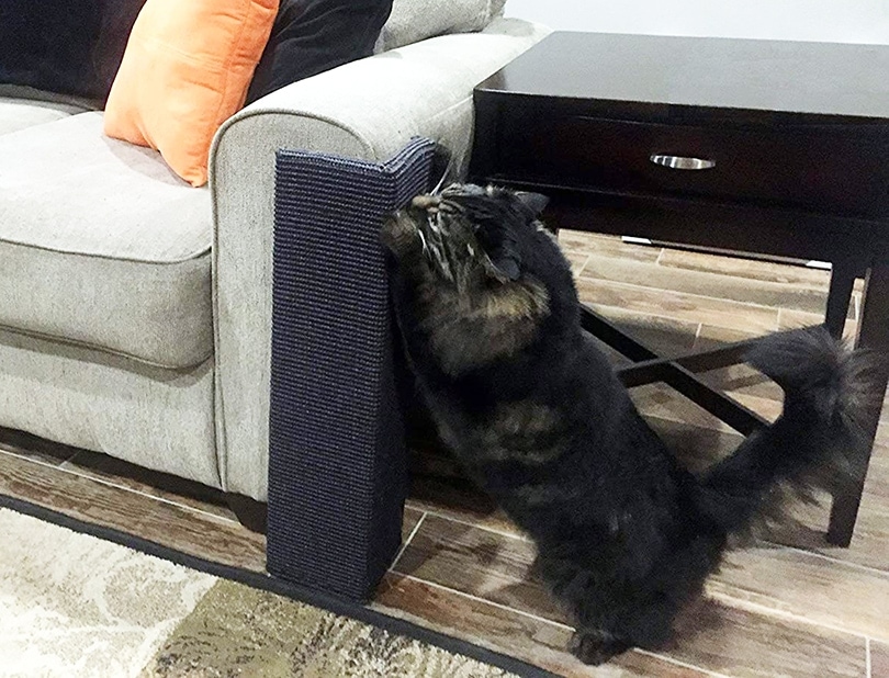 cat scratching post on furniture