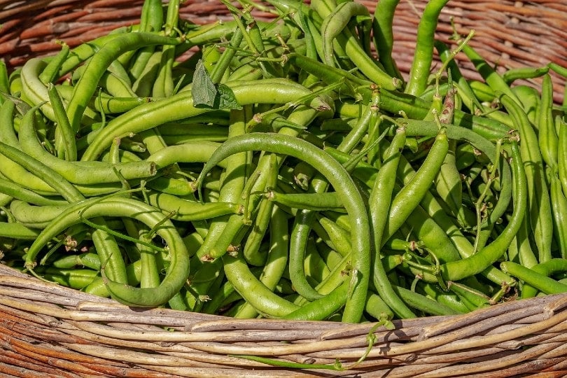 green beans