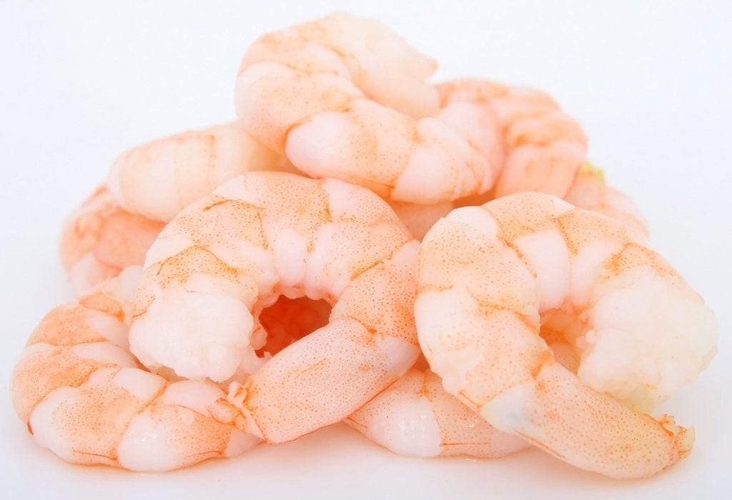 Is shrimp ok for cats hotsell