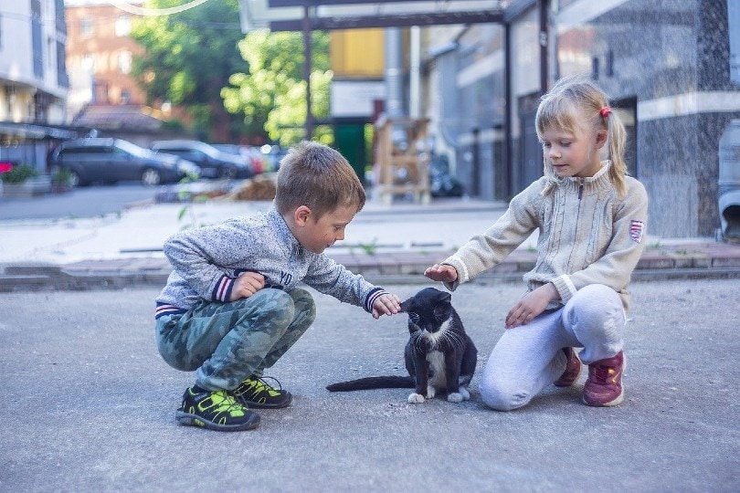 two kids petting a cat on the street