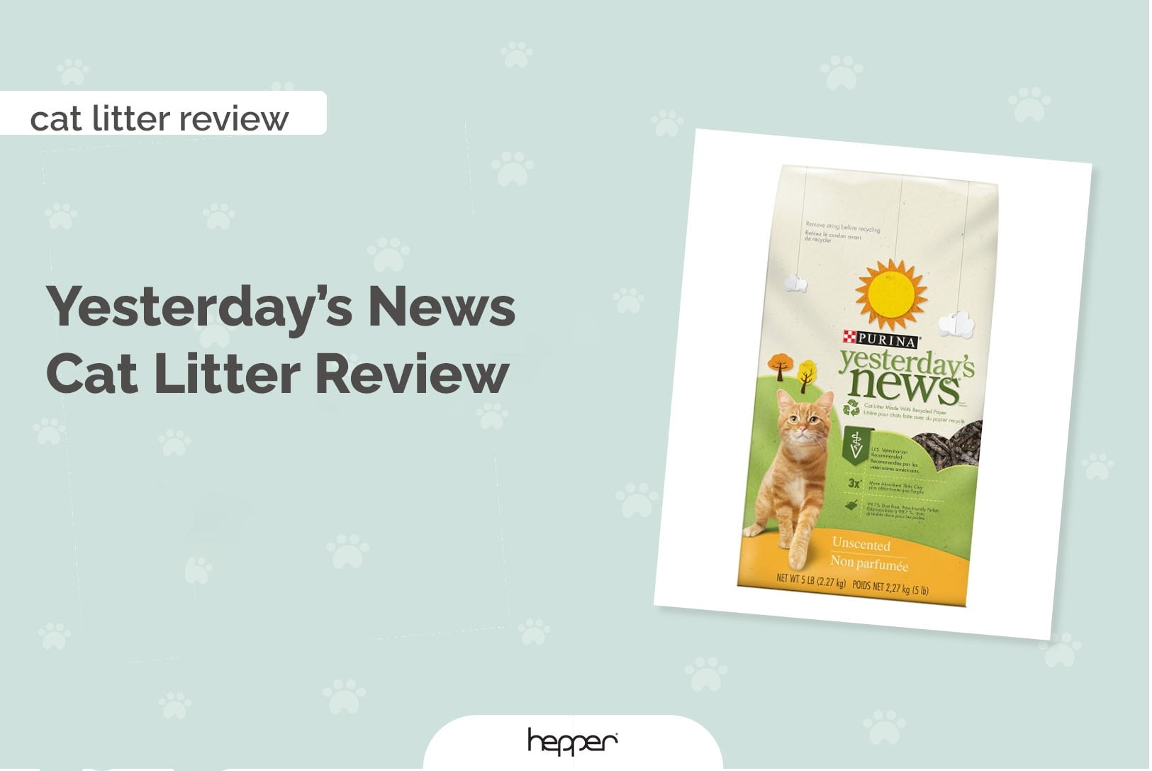 yesterdays news littler review hepper