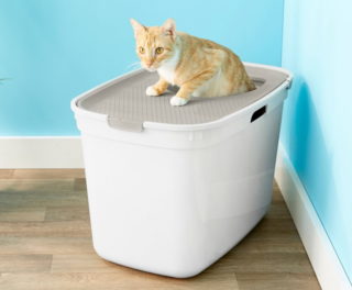 Frisco Top Entry Cat Litter Box