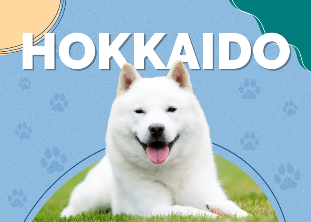 Hokkaido