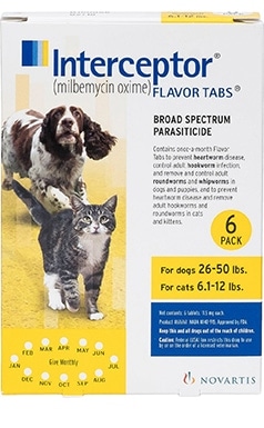 chewy cat wormer