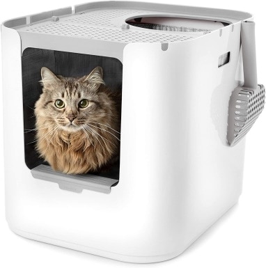 unique litter box