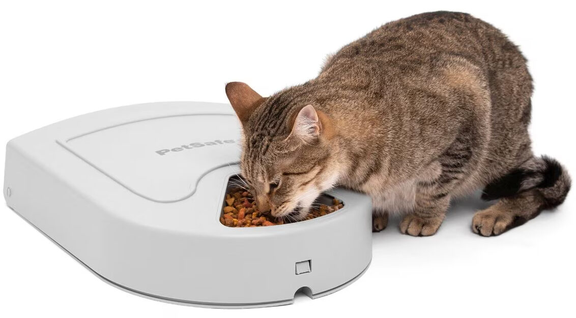 PetSafe Eatwell 5-Meal Automatic Feeder